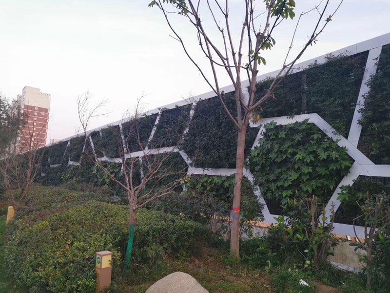 室外立体绿植墙效果图