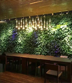 立体绿植墙效果图