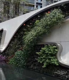 立体绿植墙效果图