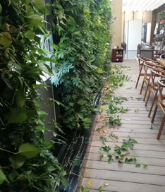 立体绿植墙效果图
