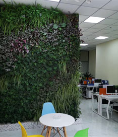 立体绿植墙效果图