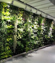 立体绿植墙效果图