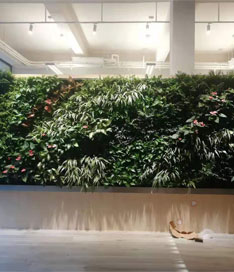 立体绿植墙效果图