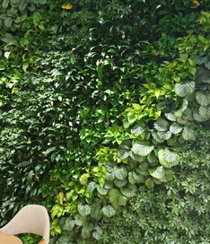 立体绿植墙效果图