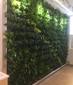 立体绿植墙效果图