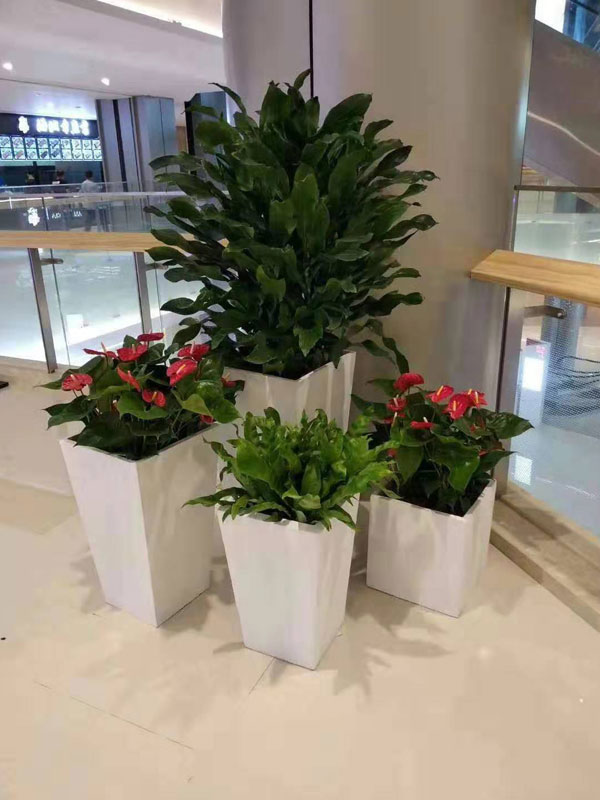 自吸式花盆螺纹铁组合盆