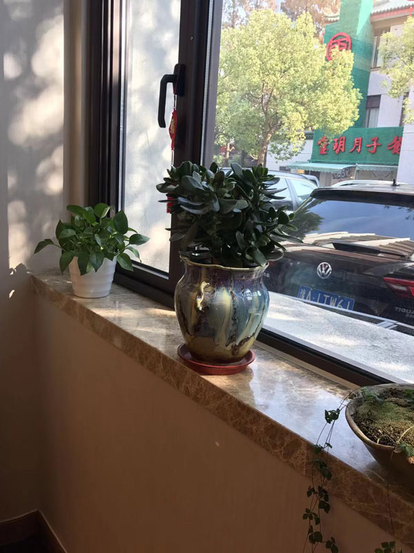 玉树