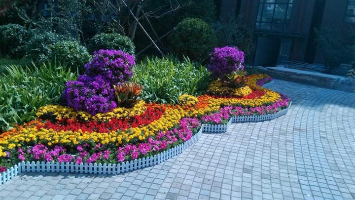 北京花卉租赁