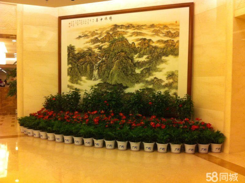 北京朝阳区来广营望京酒仙桥附近绿植租赁公司有哪些？
