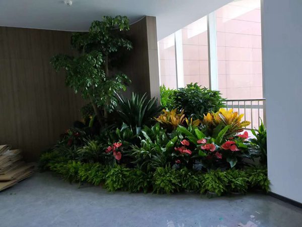 北京园林绿化公司绿植花卉养护
