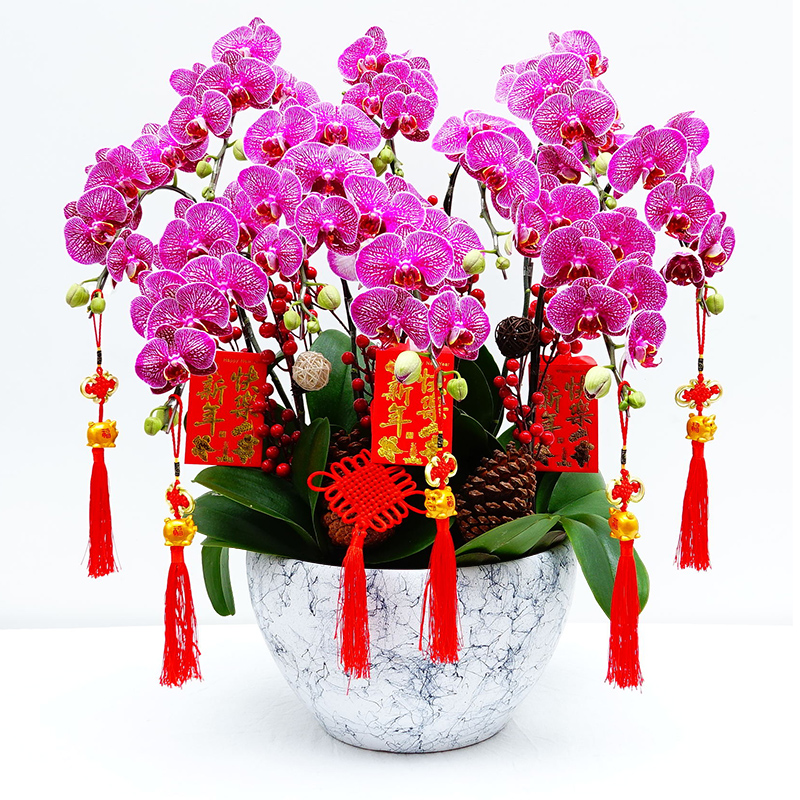 什么花卉开花时间比较长