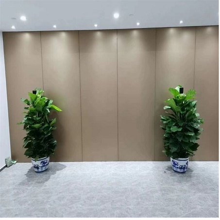 绿萝的养护知识