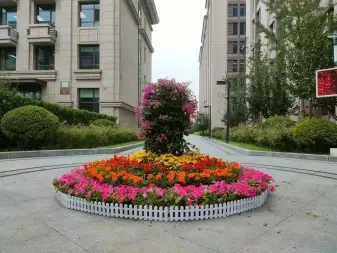 北京绿植租摆