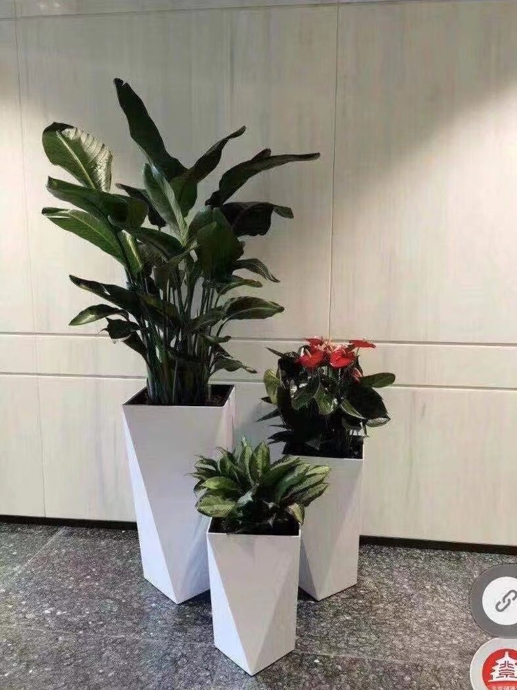 亦庄租花公司亦庄绿植租摆亦庄绿植租赁公司