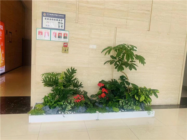 北京大兴区绿植租摆公司亦庄办公室绿植租赁园林绿化