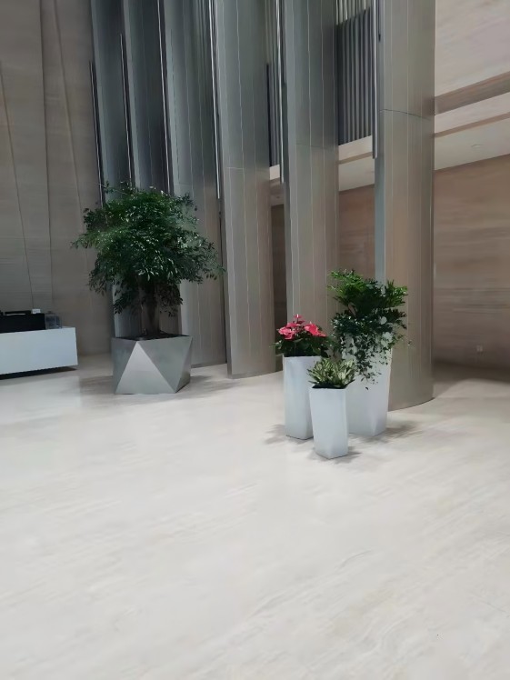 写字楼办公室绿植租摆公司