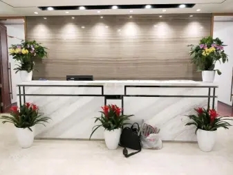 办公室绿植租摆浇水注意事项