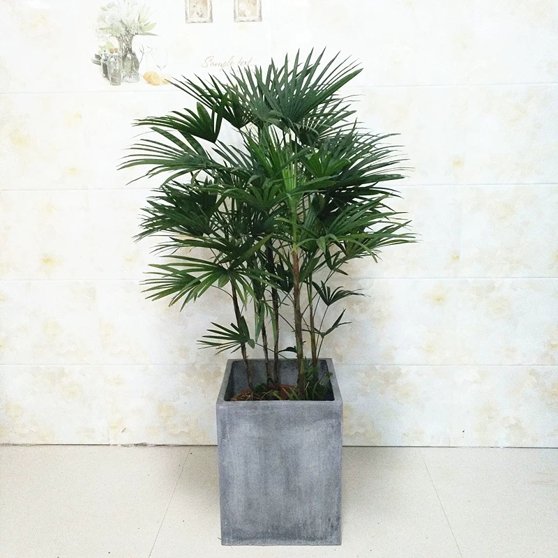 绿植租摆