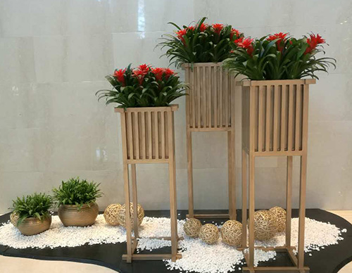 朝阳区绿植租摆