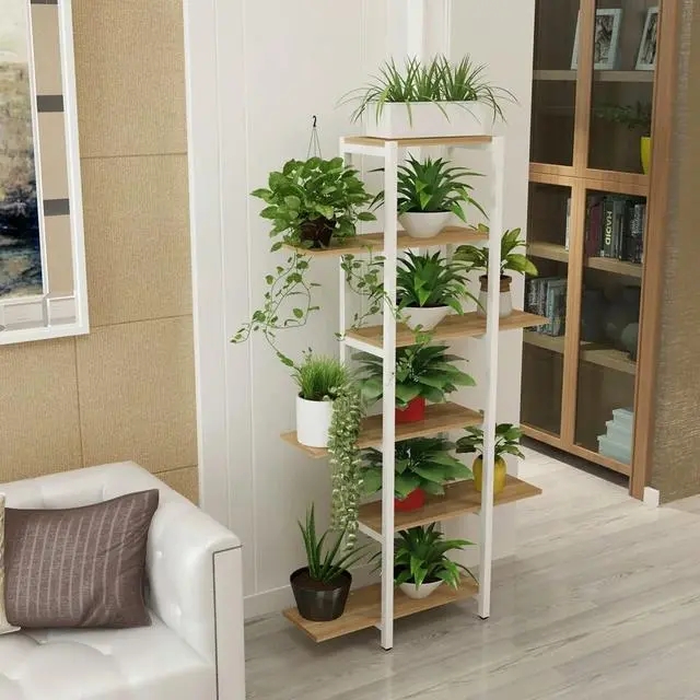 北京办公室绿植租摆办公室花卉租赁