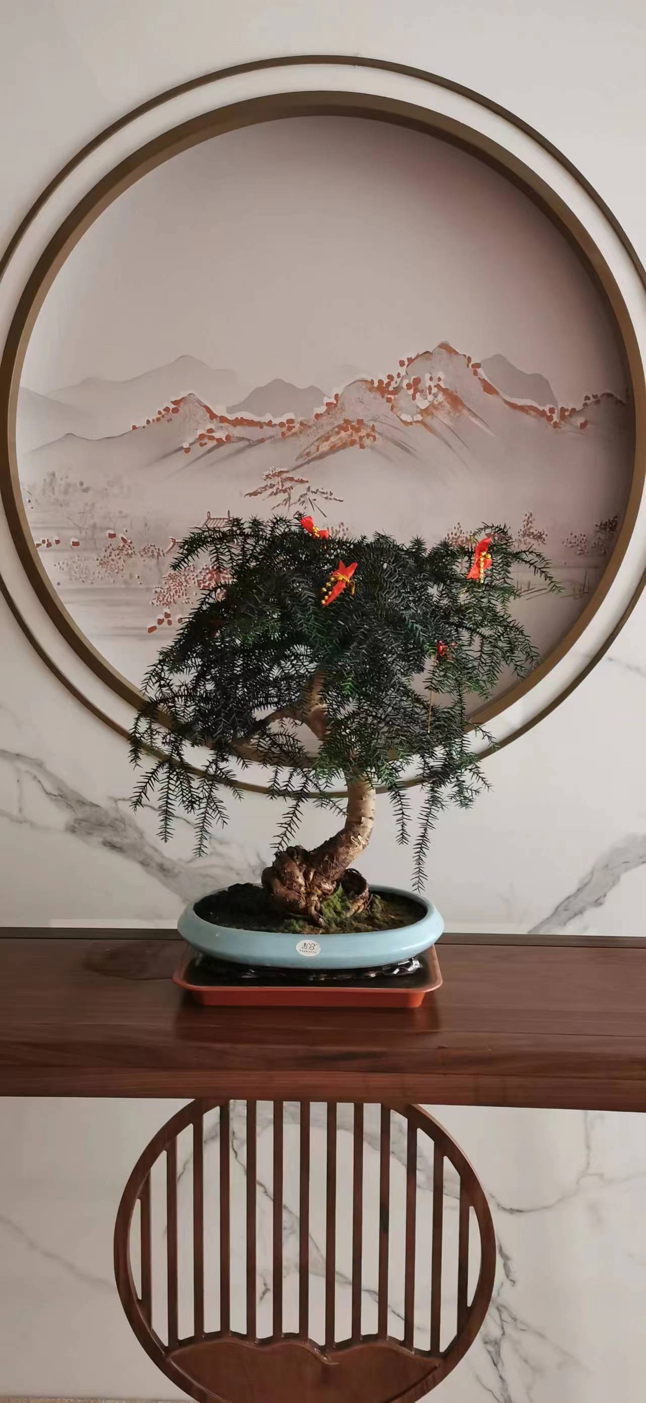 写字楼绿植租赁花卉租摆朝阳区绿植租摆公司，