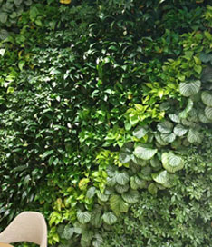 立体绿植墙效果图