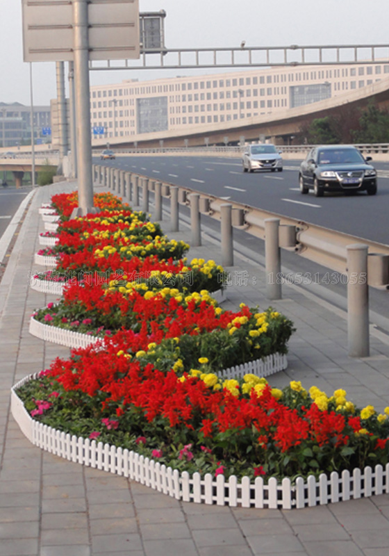 花卉产业助增收-北京花卉租赁公司